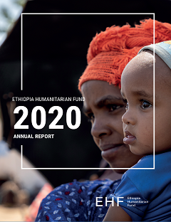 Ethiopia HF 2020 Annual Report pdf