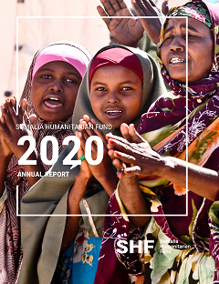 Somalia HF 2020 Annual Report pdf