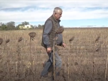 Video Ukraine: Farming During Wartime